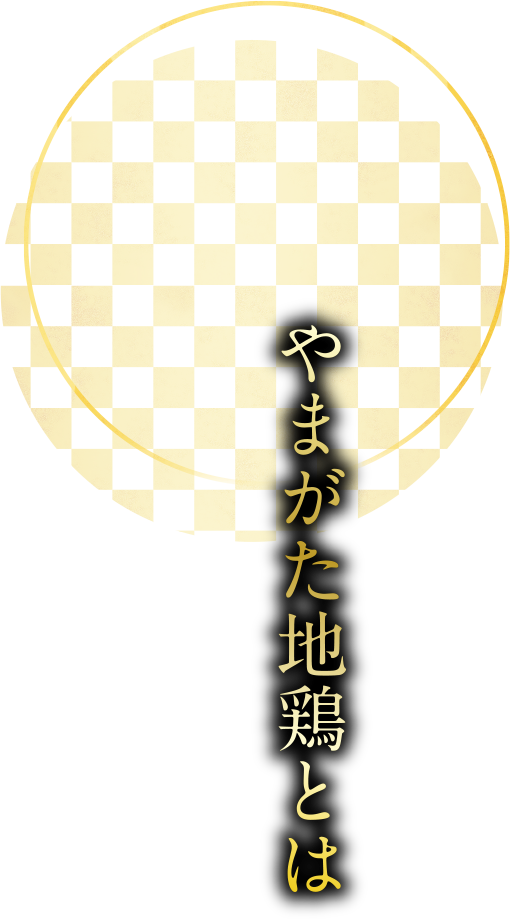 やまがた地鶏とは