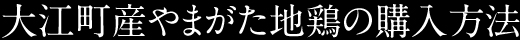 株式会社大江町産業振興公社