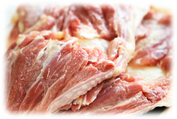 やまがた地鶏イメージ写真